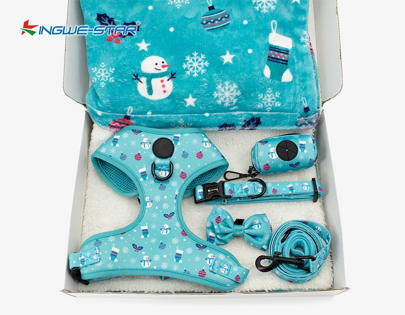 Dog Leash and Collar